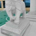 长春 白麻花岗岩动物异形石雕-大象