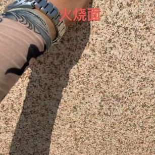 长春黄金麻火烧面