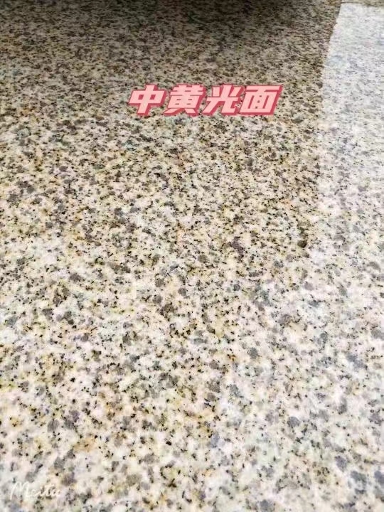 长春黄金麻中黄光面